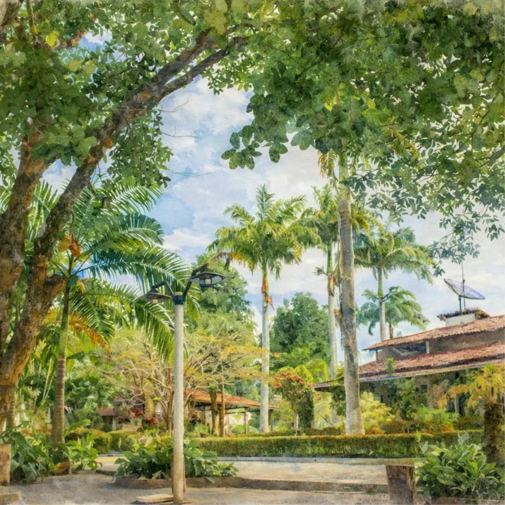 Aquarela do jardim onde acontece a cerimônia, com palmeiras altas e a casa ao fundo